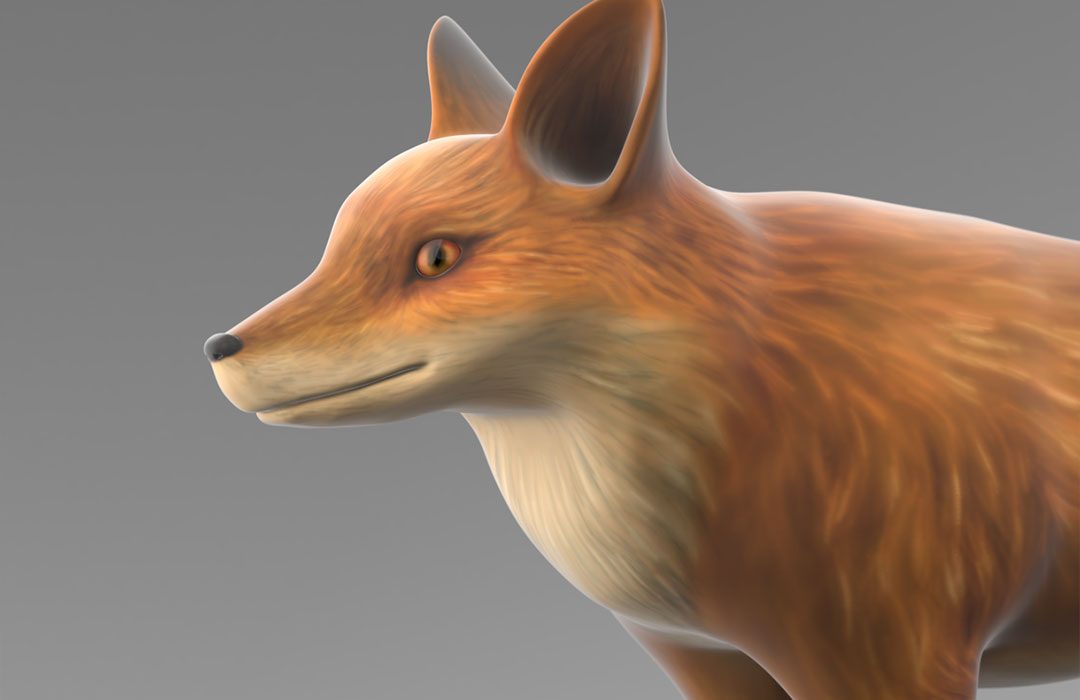 fox 3D